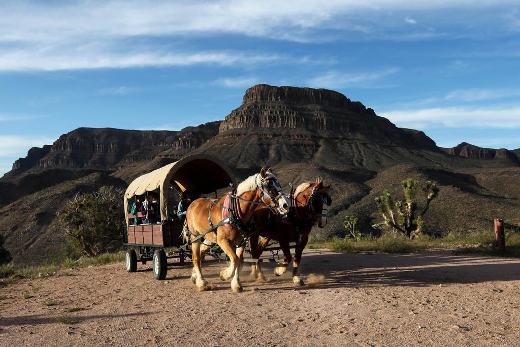 Grand Canyon Western Ranch Meadview Экстерьер фото